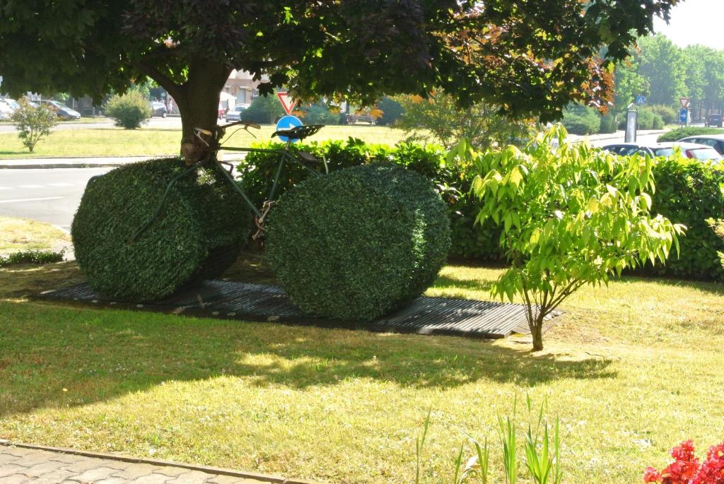 Zahrada ubytování Modo Hotel