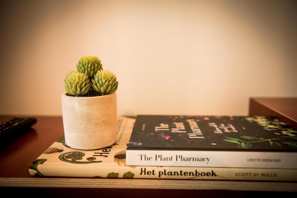 Fitz Roy Urban Hotel, Bar and Garden - Resim 29