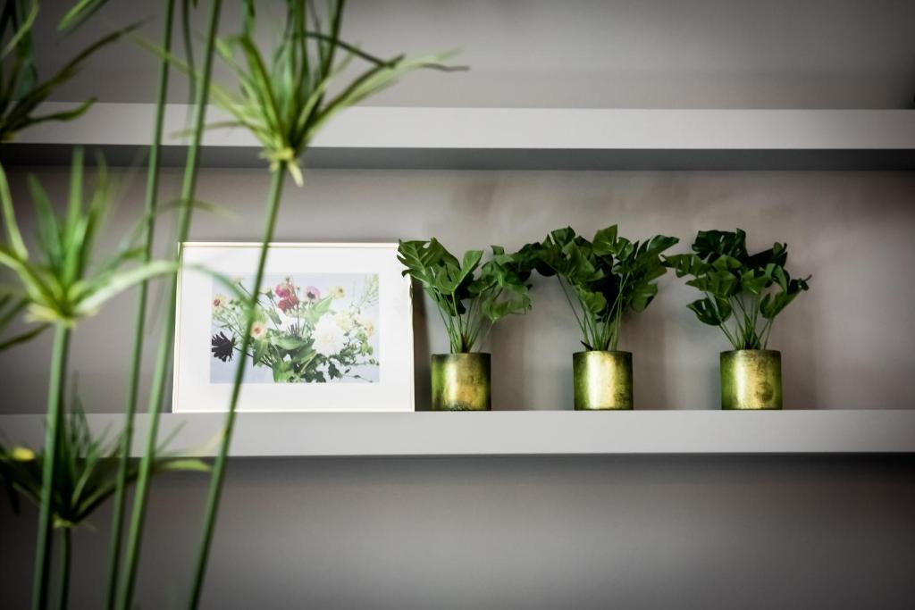 Fitz Roy Urban Hotel, Bar and Garden - Resim 24