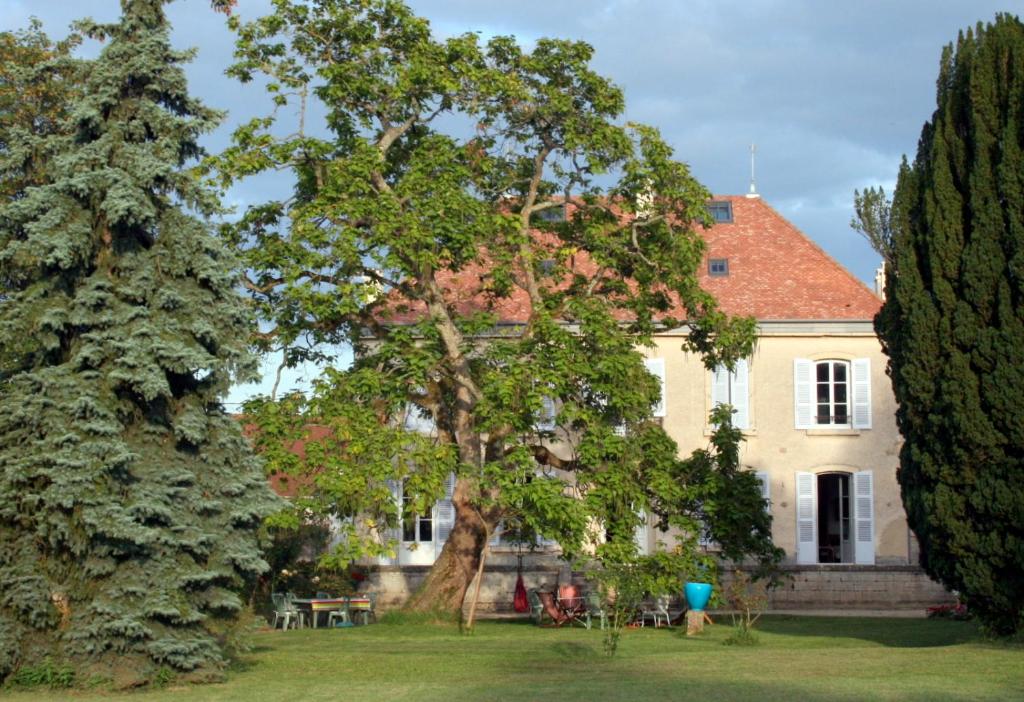 ein Haus mit einem großen Baum davor in der Unterkunft Le Clos des Roseaux in Chorey-lès-Beaune