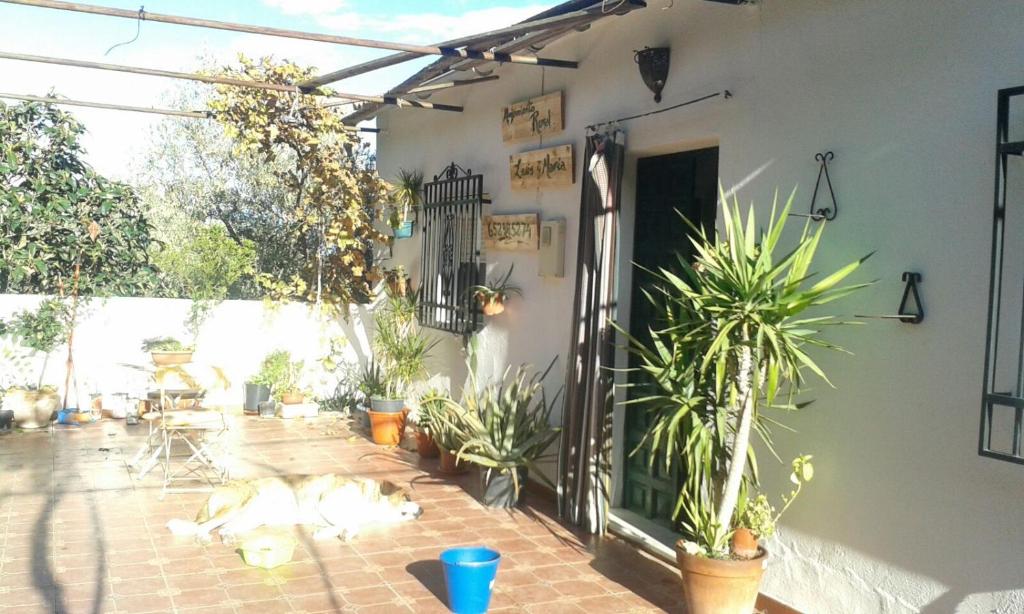 a patio with potted plants in a house at Alojamiento Rural Luís y María in Villanueva de Algaidas