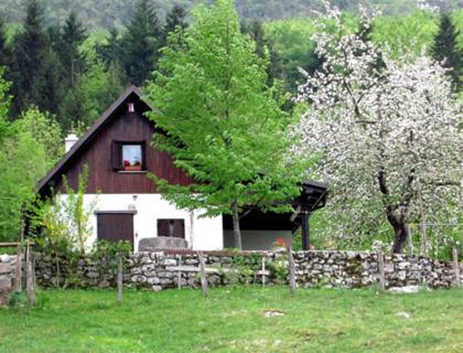 Zgradba, v kateri se nahaja počitniška hiška