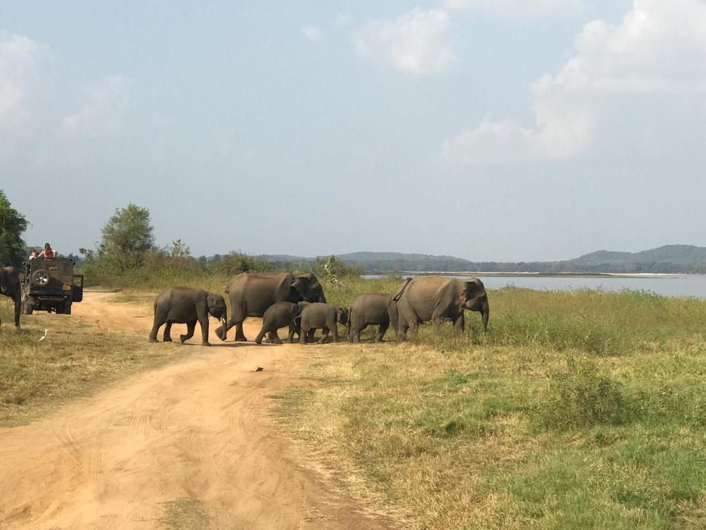 Lotus Eco Villa - 11