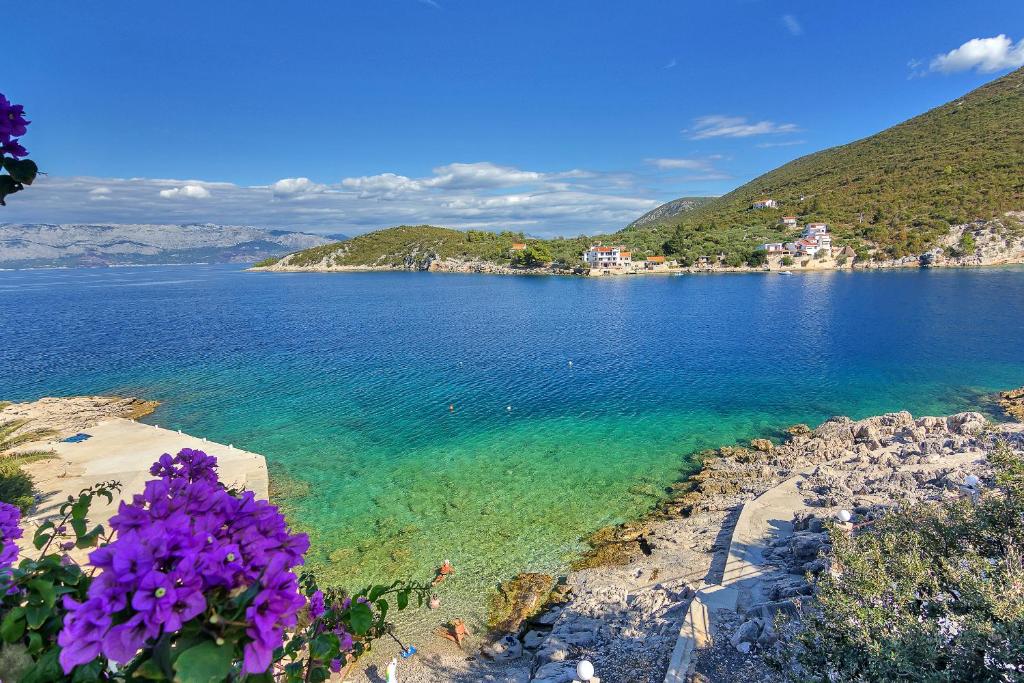 a view of a large body of water with purple flowers at Apartments Rubin in Zastražišće