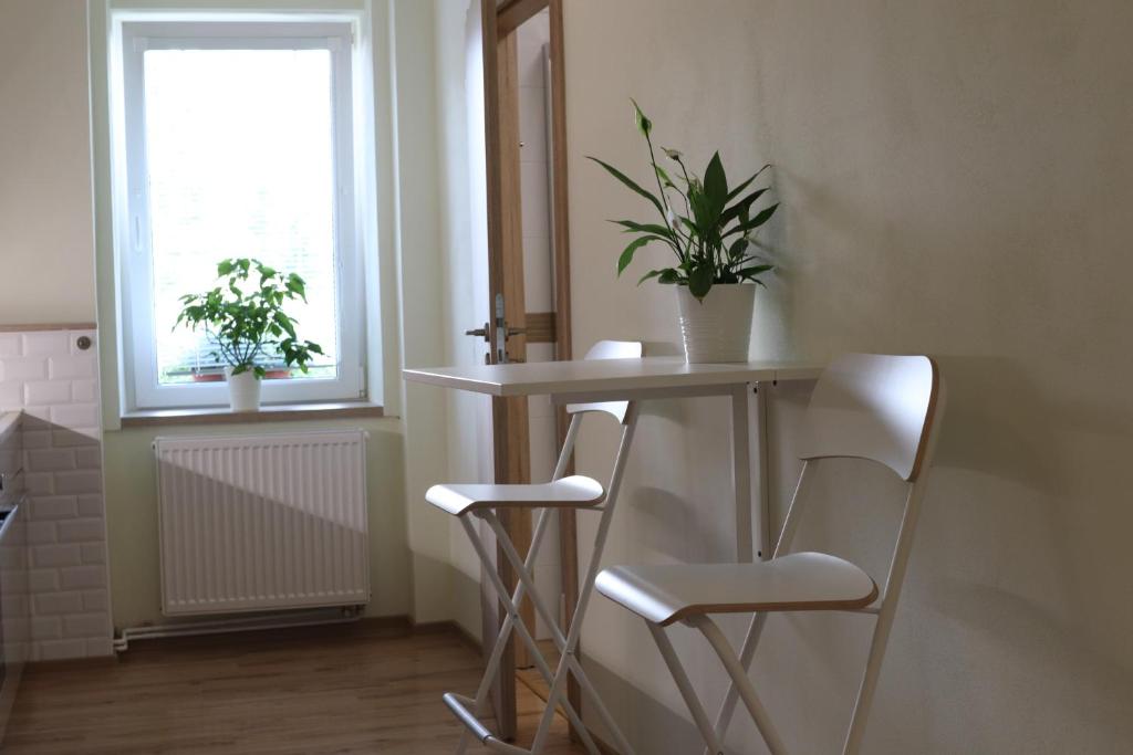 Fotografie z fotogalerie ubytování SLO. Apartments v destinaci Bakov nad Jizerou