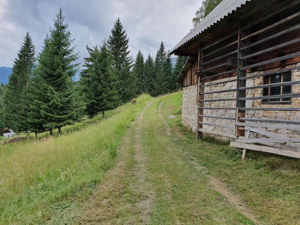 Příroda nedaleko prázdninového domu