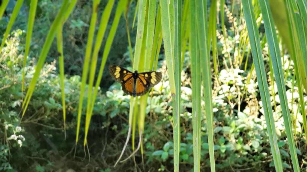  Recanto Luamar Pousada
