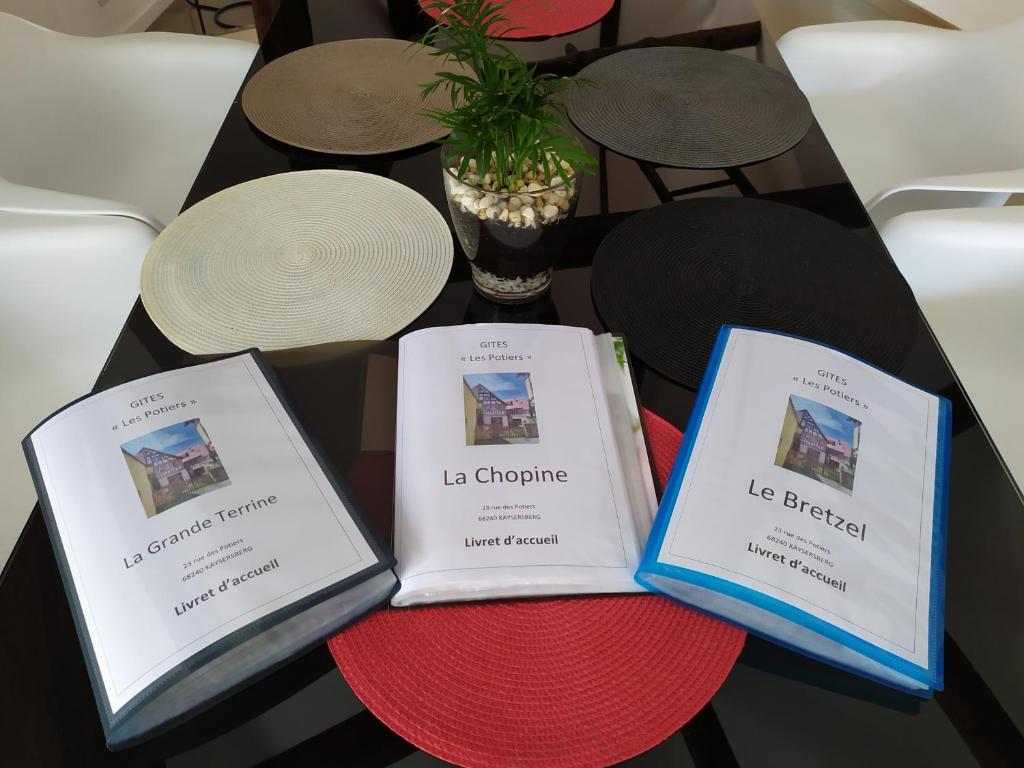 La Grande Terrine - Gîtes Les Potiers – photo 29