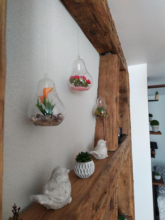 La Grande Terrine - Gîtes Les Potiers – photo 28