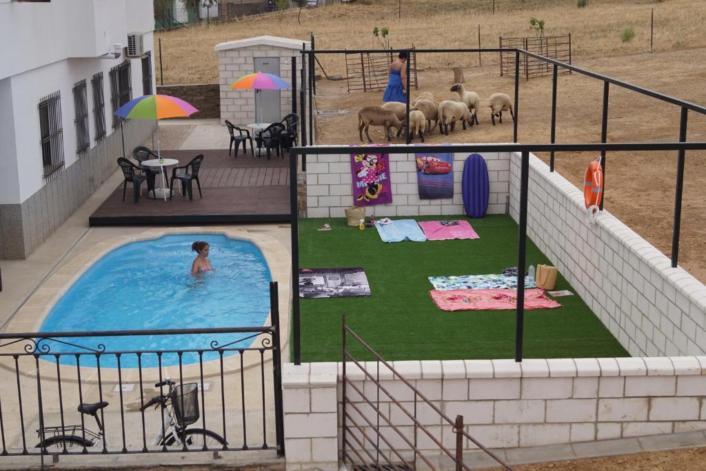 a pool of water with several animals in it at Apartamentos Rurales Monfragüe in Torrejón el Rubio