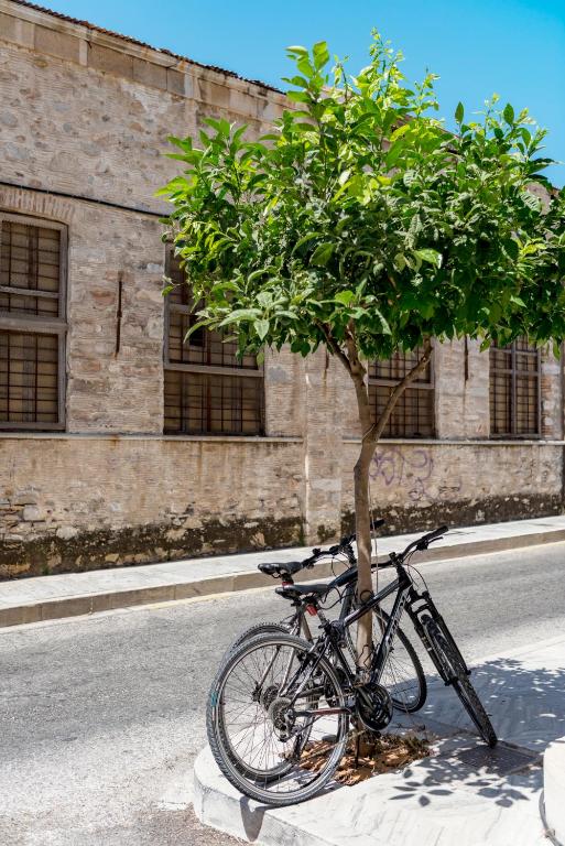 Attività di ciclismo presso l'aparthotel o nelle vicinanze