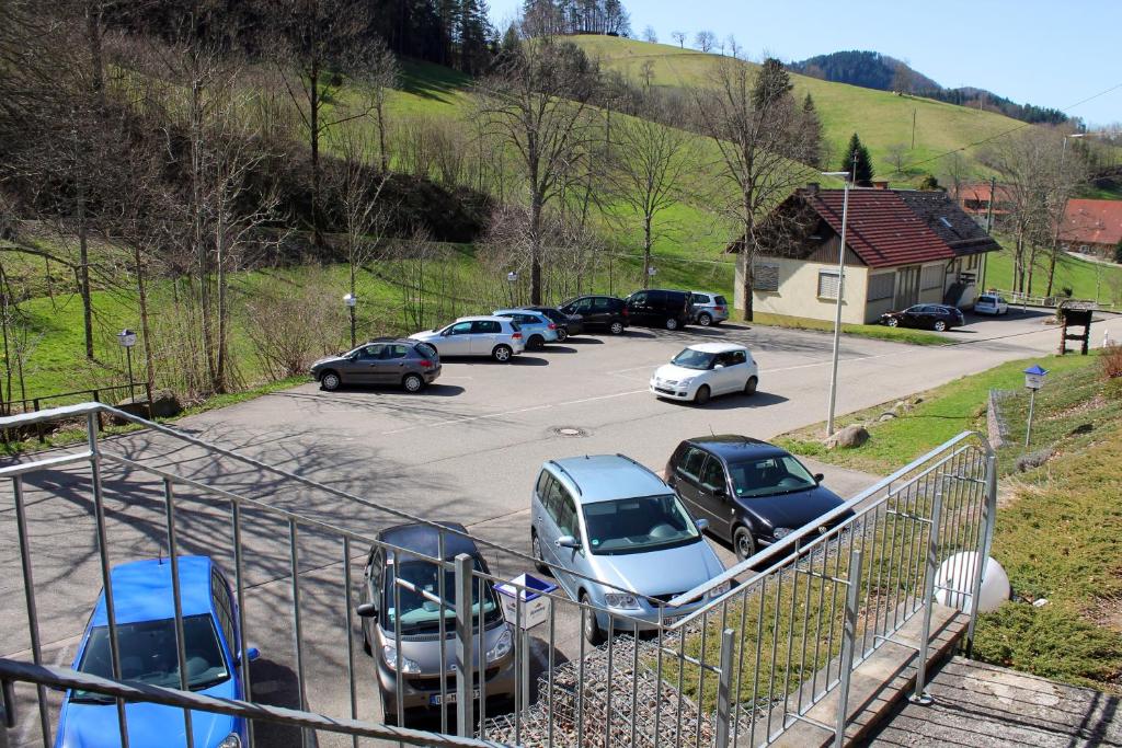 Příroda nedaleko hotelu