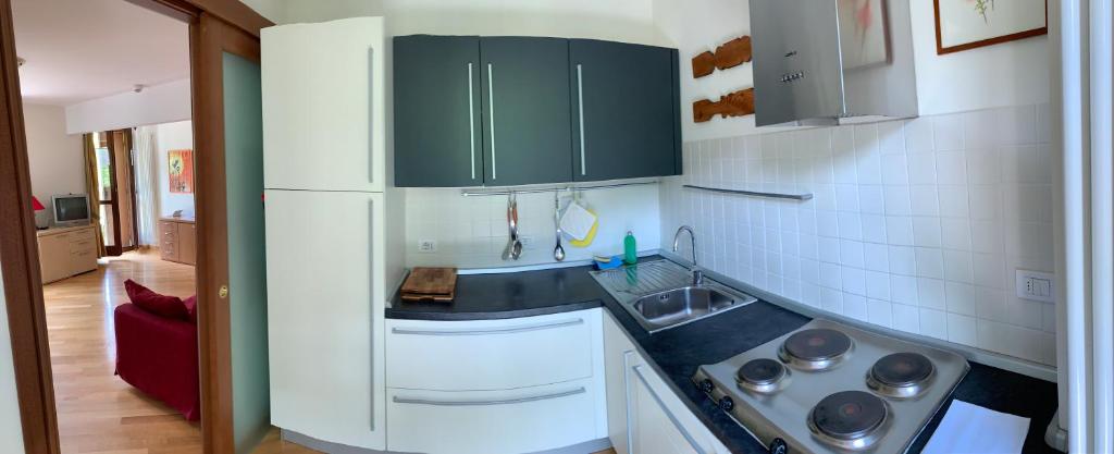 A kitchen or kitchenette at R.T.A. Hotel Monte Rosa