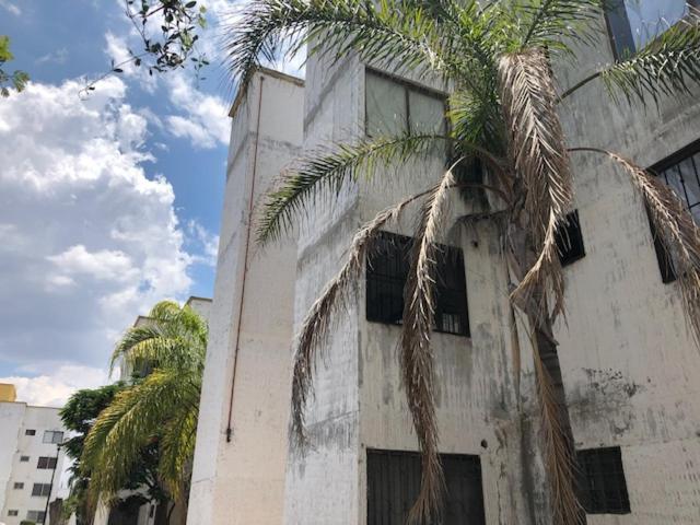 a building with a palm tree in front of it at Elena's Aparment in León