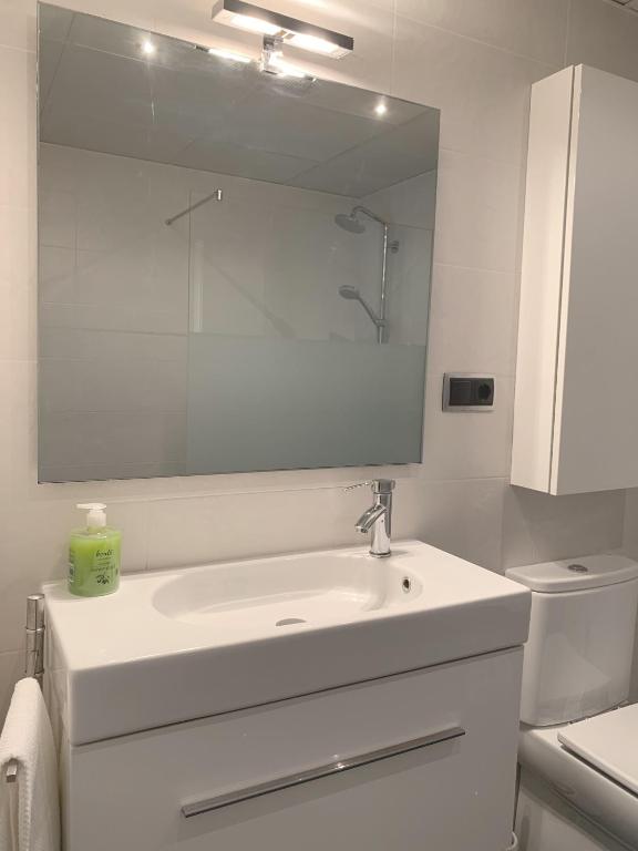 Koupelna v ubytování Apartamento Somos Ainsa