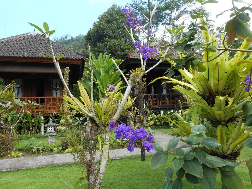 un jardín con plantas y flores frente a una casa en Kubu Alas Tunggal Villa, en Sidemen