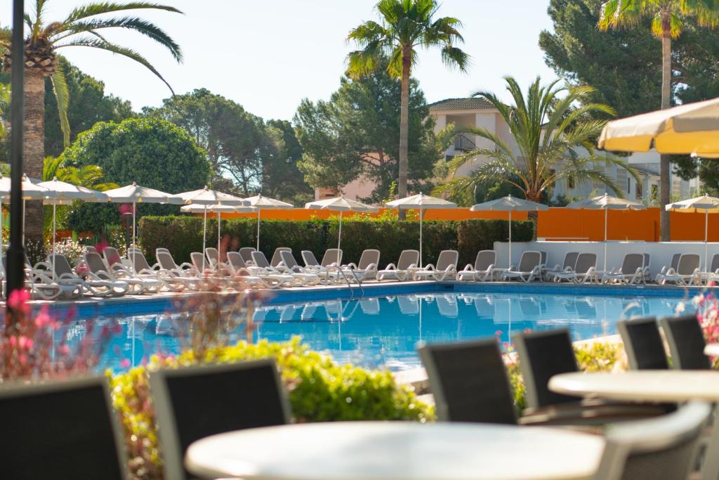 Bazén v ubytování Hotel Millor Sol nebo v jeho okolí