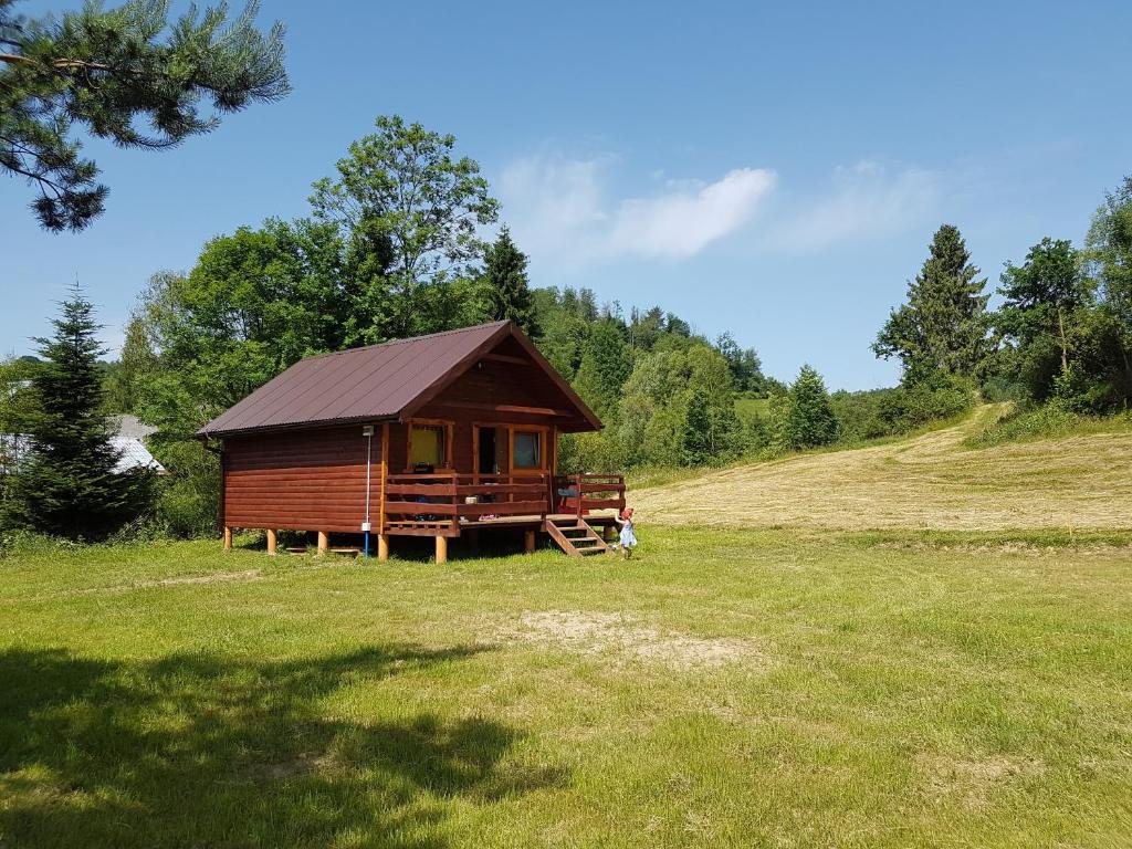 eine Hütte inmitten eines Grasfeldes in der Unterkunft Gumisiówka in Górzanka