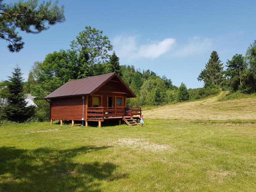 a cabin in the middle of a grass field at Gumisiówka in Górzanka