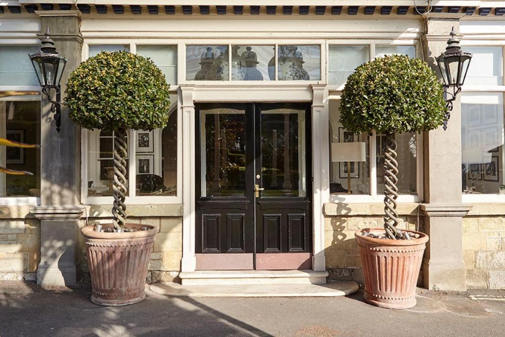 two large potted plants in front of a building at The Royal Hotel in Ventnor