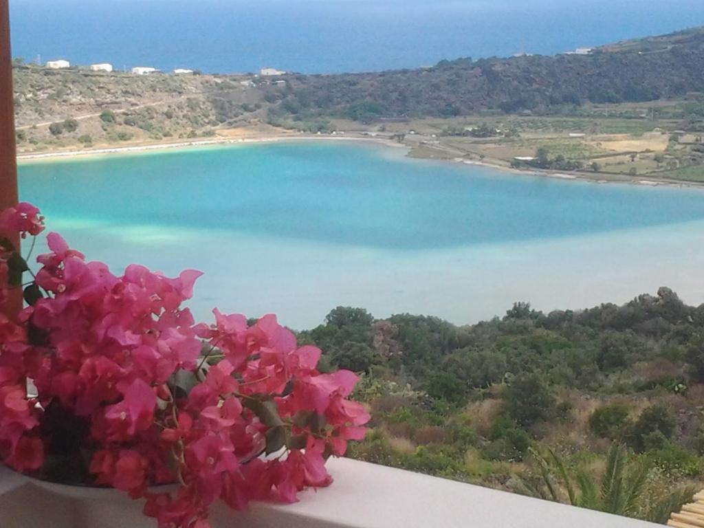 a vase filled with pink flowers sitting on a ledge at Dammuso La Stella del Lago in Pantelleria