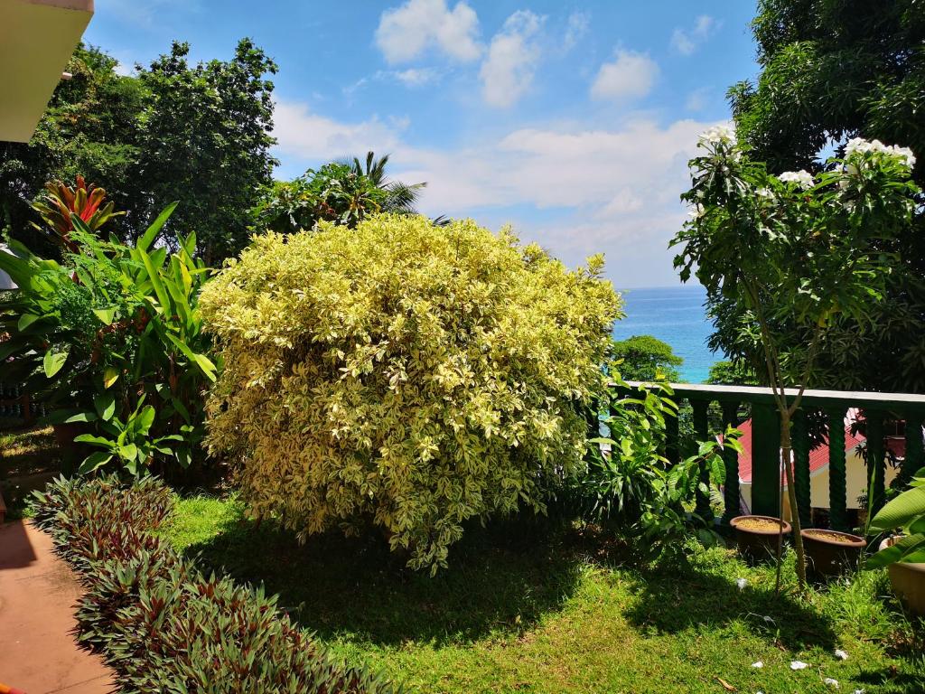 Сад в Glacis Heights Villa