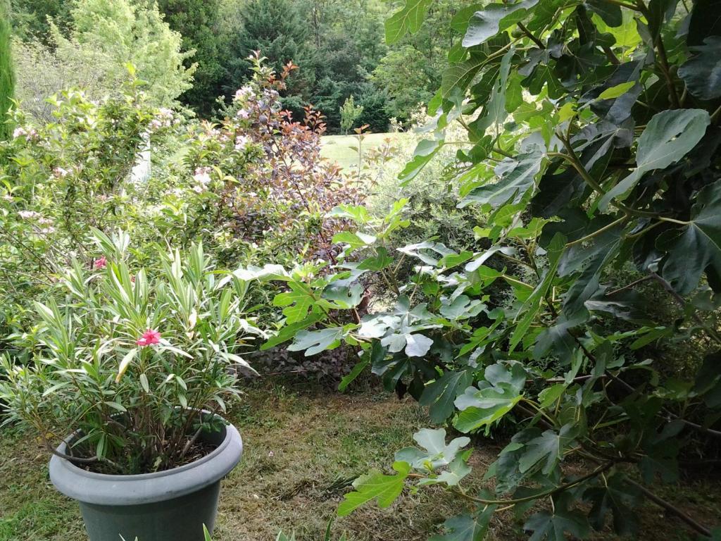 Érable Pourpre - Habitación Doble Con Vista Al Jardín