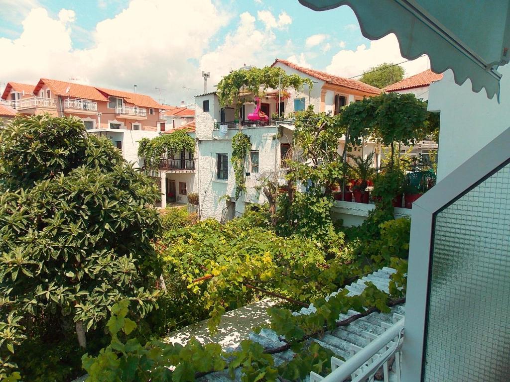 Zahrada ubytování Hotel Sgouridis