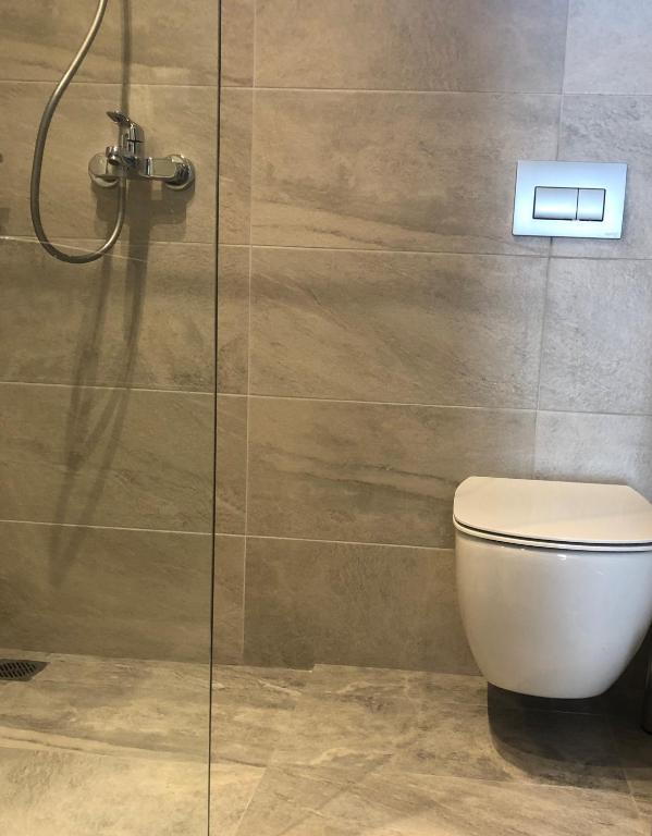 a bathroom with a toilet and a shower stall at Villa Spartias in Skiathos