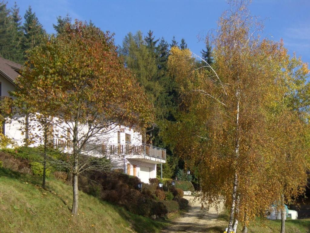 Příroda nedaleko penzionu – hostince