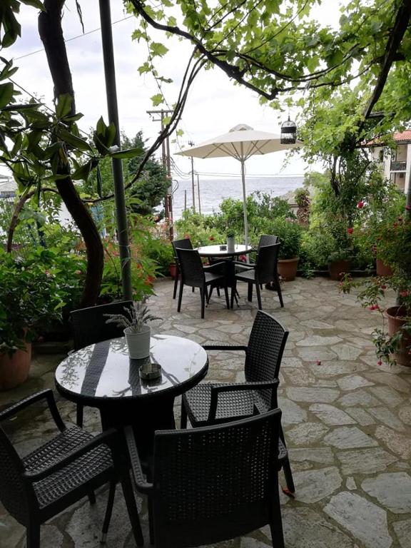 Zahrada ubytování Hotel Erato