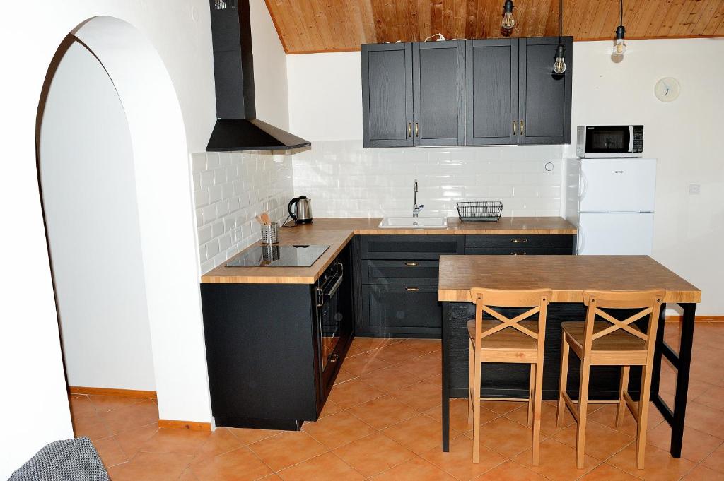 Kuchnia lub aneks kuchenny w obiekcie Apartmán s vinným sklepem Four Grapes