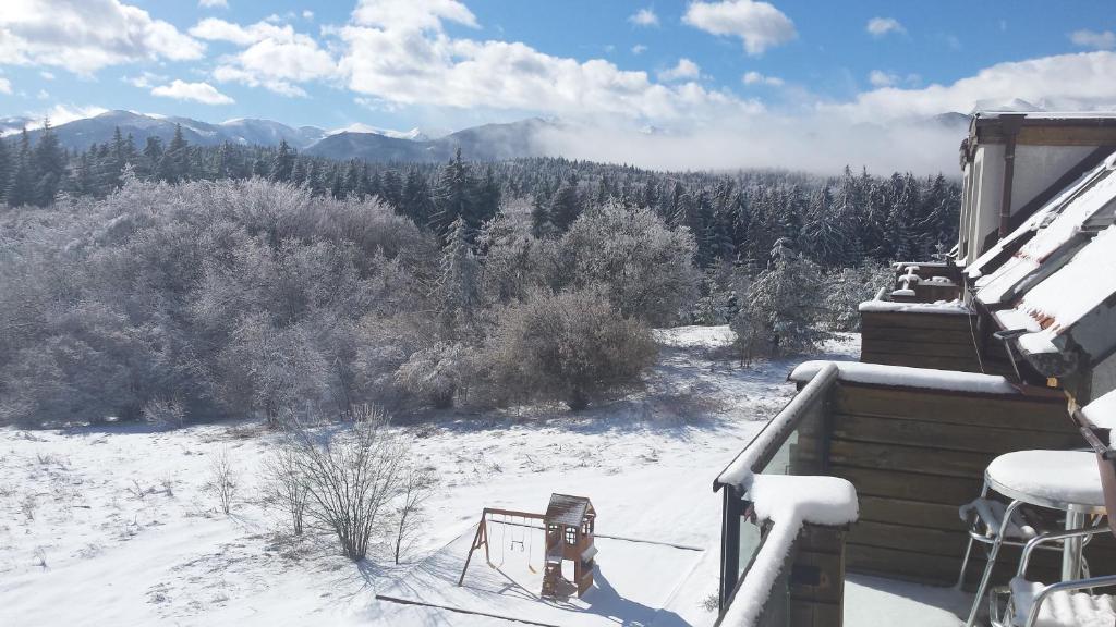 Chamkoria Chalets v zimě