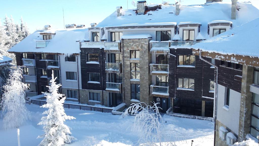 Chamkoria Chalets v zimě