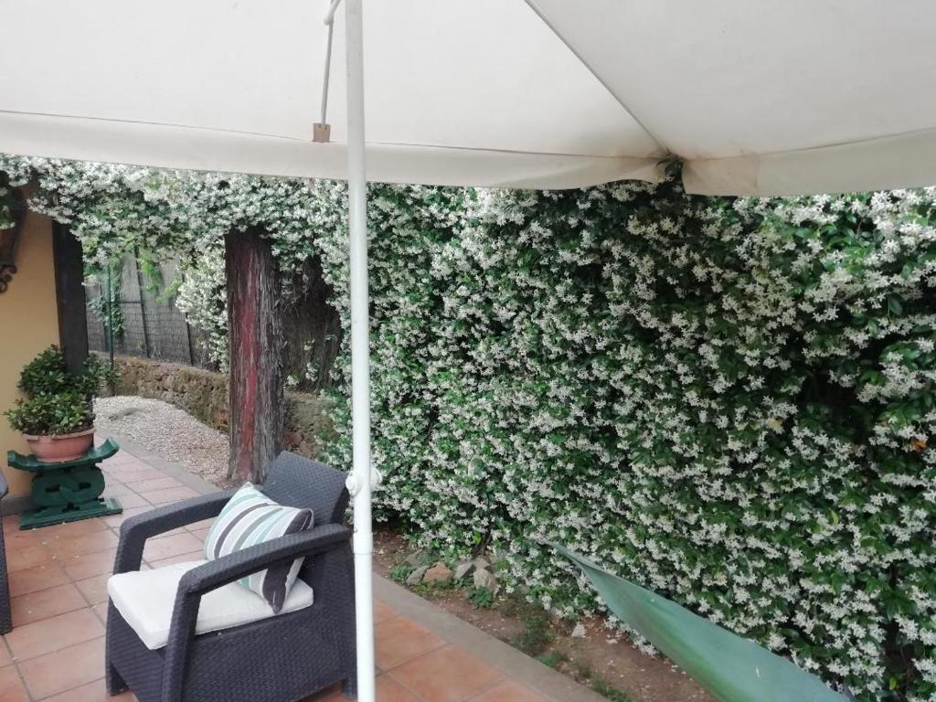 Appia Antica Cottage - 8