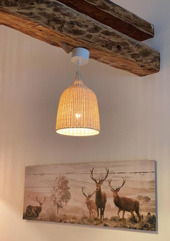 Fotografie z fotogalerie ubytování Der Ulmenhof v Gosau