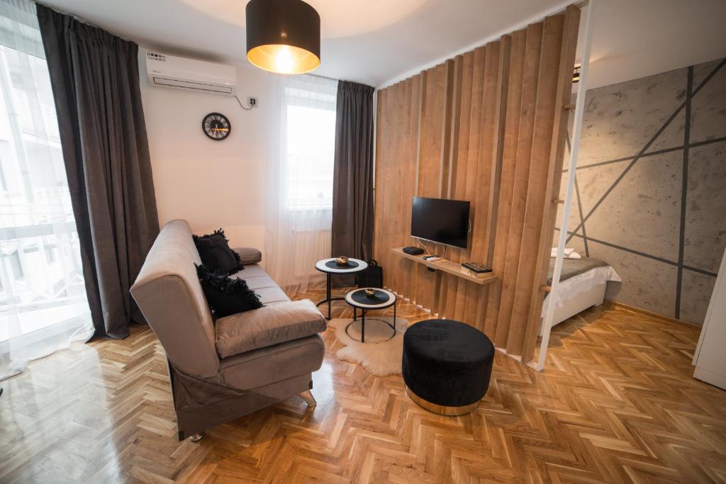 een woonkamer met een bank en een televisie bij Royal Apartment in Bačka Palanka