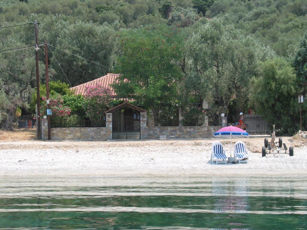Φυσικό τοπίο κοντά σε αυτό το διαμέρισμα