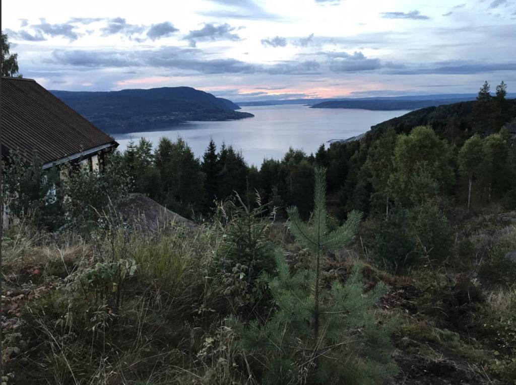 a view of a lake from a hill with a house at Annex Fjara in Minnesund