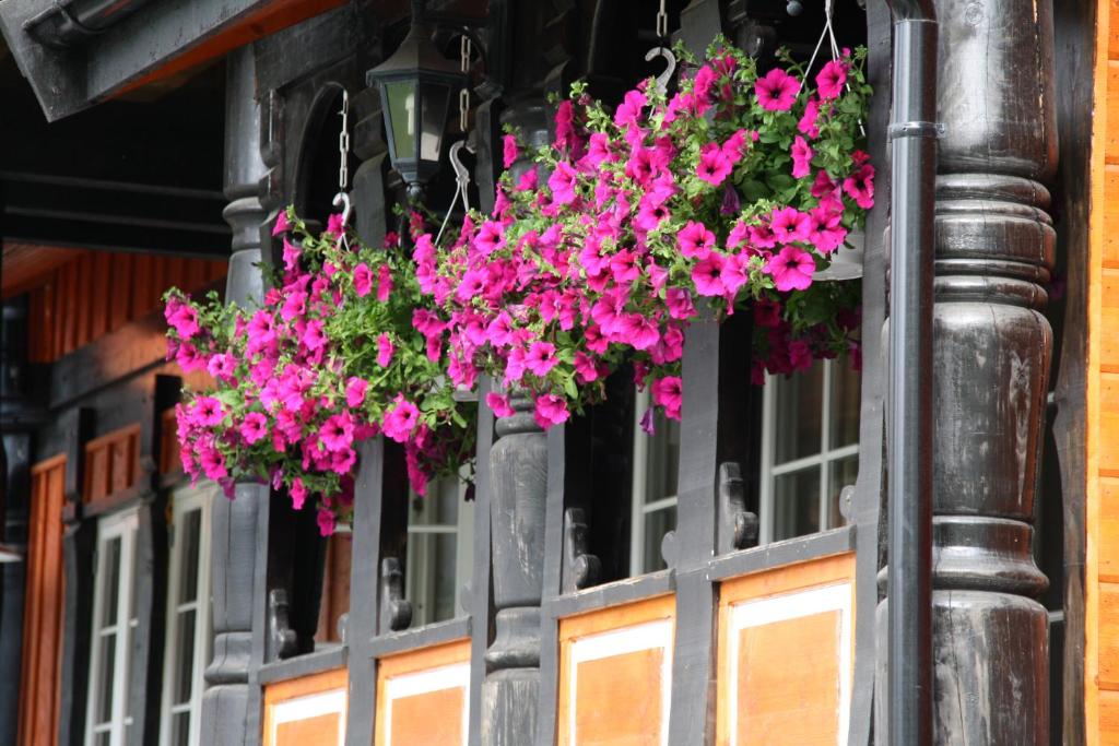 Afbeelding uit fotogalerij van Sølvgarden Cottages in Rysstad