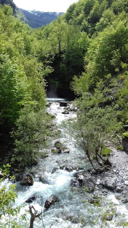 Paesaggio naturale nelle vicinanze dell'affittacamere
