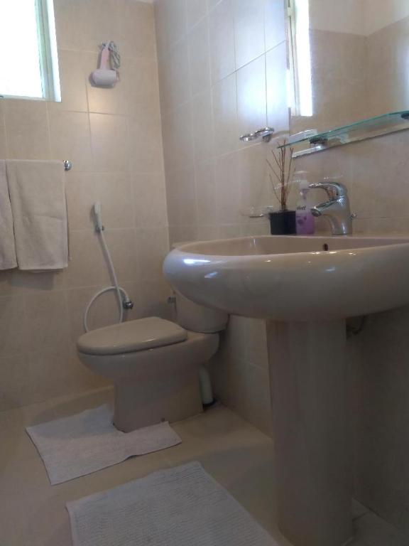 36 Bed & Breakfast - 14