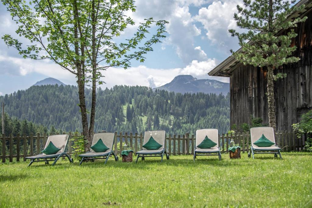 Příroda nedaleko hotelu