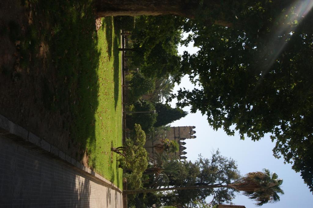A garden outside Hostal Alcazar I