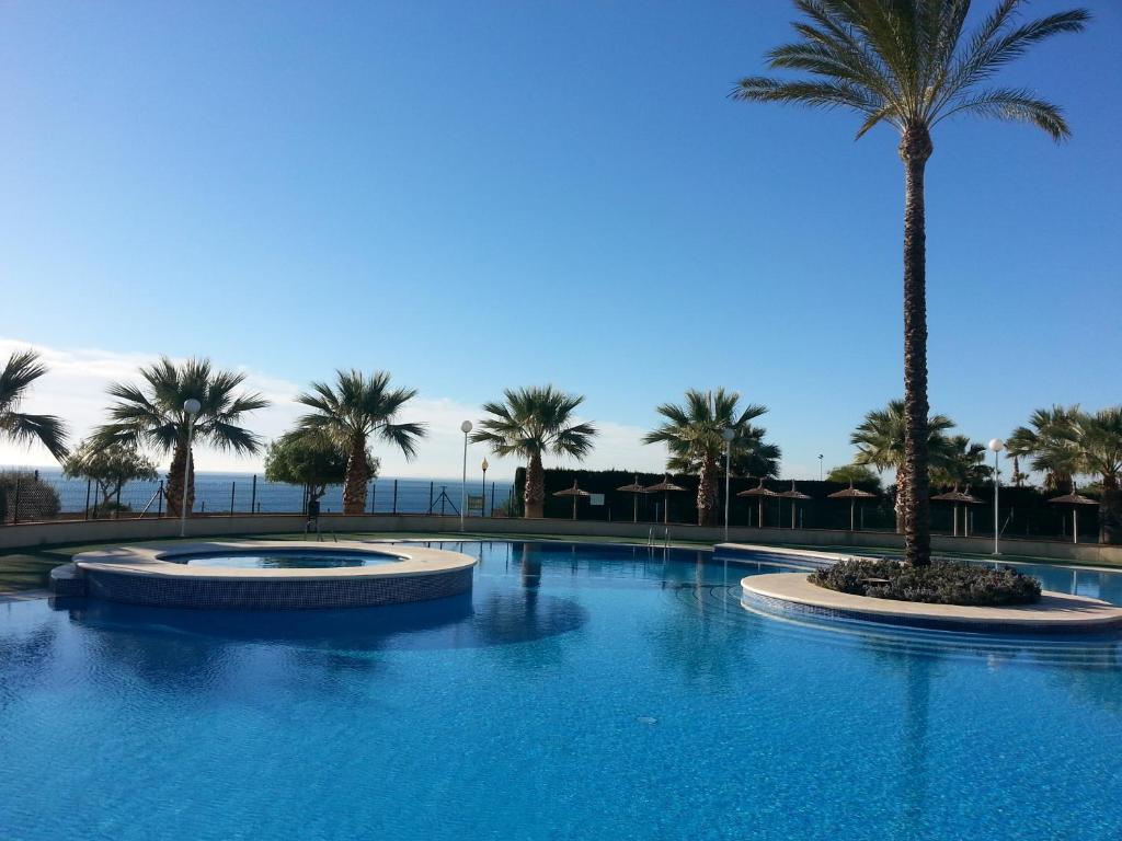 una gran piscina con palmeras en el fondo en Bajo con jardin WIFI junto al mar, en Playas de Orihuela