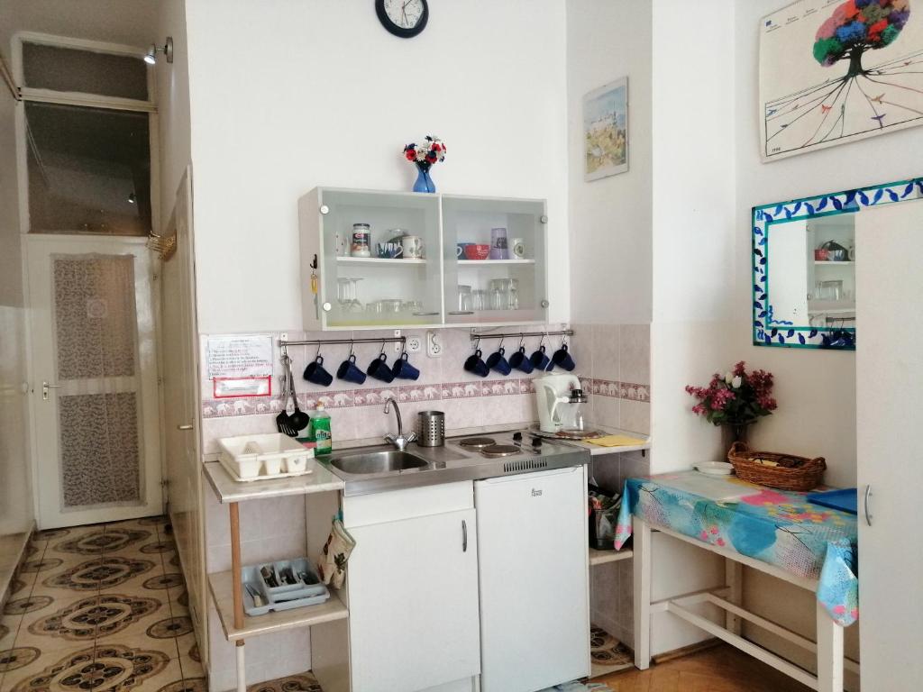 Kuchyň nebo kuchyňský kout v ubytování Garibaldi 5 Apartments & Rooms
