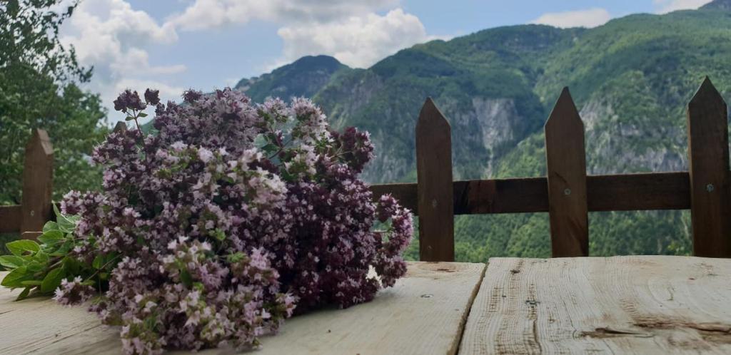 Vista generica sulle montagne o vista sulle montagne dall'interno dell'affittacamere