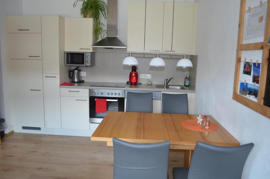 Kuchyň nebo kuchyňský kout v ubytování Apartment Klein & Fein