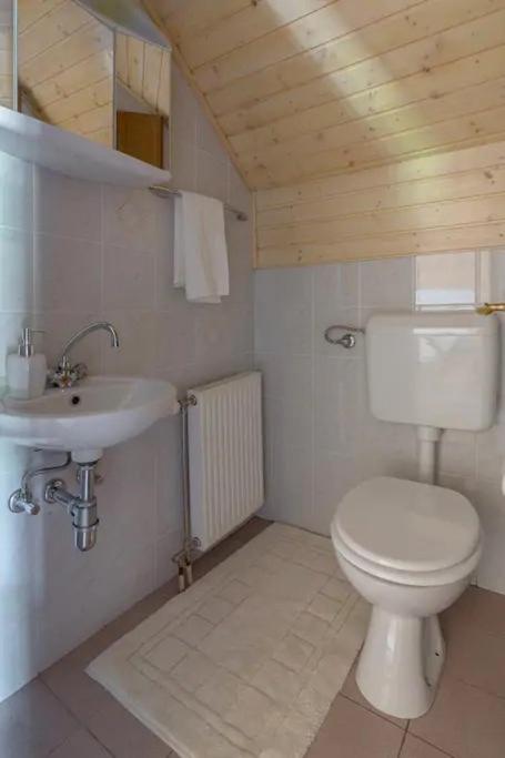 Koupelna v ubytování Chalet Mia - Family Cottage, Kranjska Gora