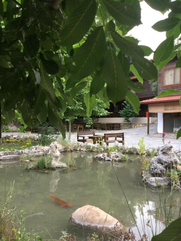 Příroda nedaleko hostelu